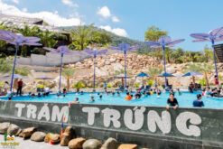 ve tam bun tram trung vip2 3