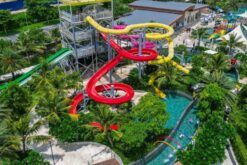 alma resort cam ranh dat phong tet 2