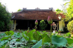 tour hue quang tri quang binh ha tinh 6n6d 5