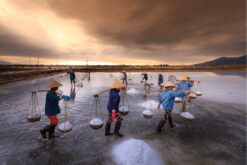 tour ninh thuan 3n2d 3