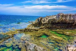 Tour du lịch Ninh Thuận - Cà Ná 3N2Đ khởi hành từ TP.HCM