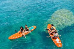 tour tphcm ninh thuan 3n2d 3