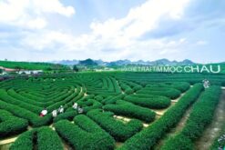 tour ha noi son la dien bien 4n3d 7