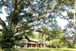 tour ha noi tuyen quang thai nguyen 3n2d 5