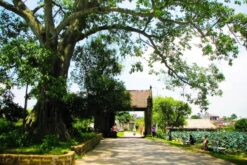 tour ha noi tuyen quang thai nguyen 3n2d 9