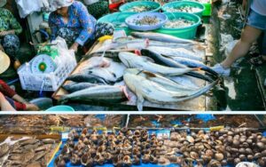 Top 7 chợ bán hải sản ở Nha Trang tươi ngon, giá tốt nhất