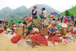 tour ha noi ha giang dong van sapa 6n5d 8
