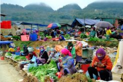 tour ha noi ha long sapa 5n4d 8