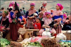 tour ha noi ninh binh ha long yen tu sapa 6n5d 12
