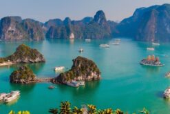 tour ha noi ninh binh ha long yen tu sapa 6n5d 8