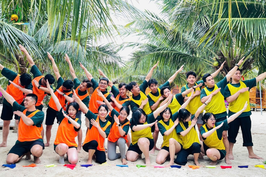 3n2d tour doan cong ty tanu204