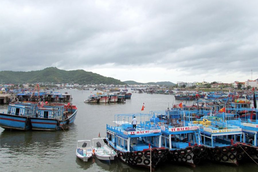 cac cho nha trang noi tieng206