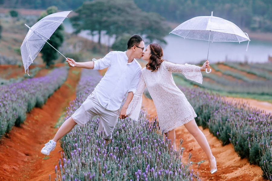 Nhiều người lựa chọn mùa hoa oải hương để chụp ảnh cưới