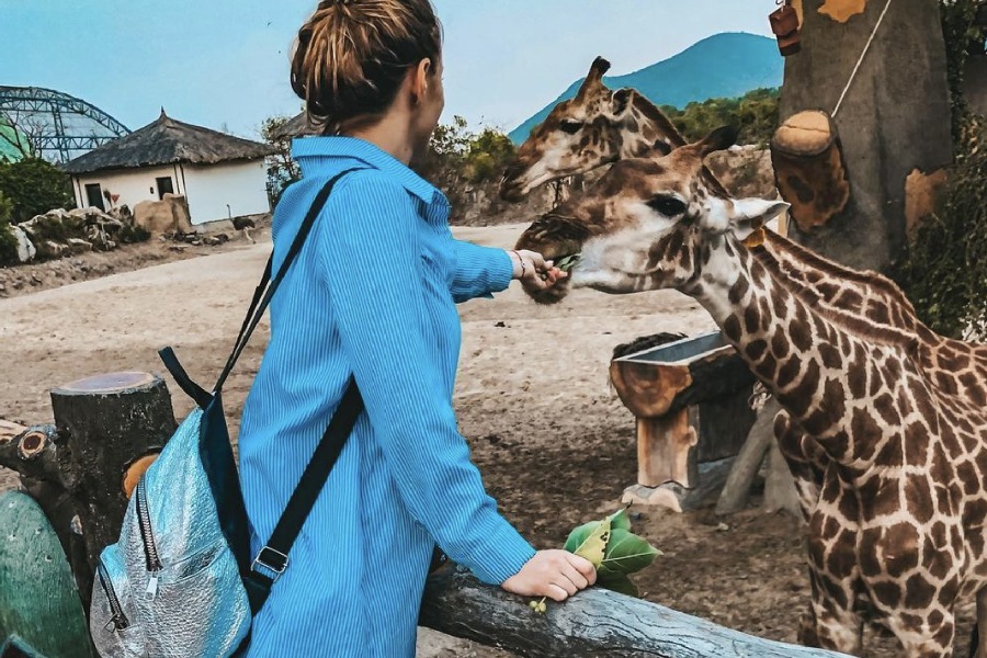 Du khách được chạm tay, cho động vật ăn