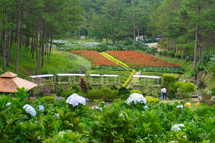 da-lat-co-dieu-hoa-khong-2 Đà Lạt được thiên nhiên ưu ái với nhiều cảnh đẹp