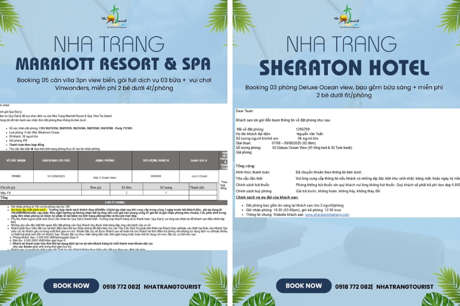 dai ly dat phong nha trang uy tin203