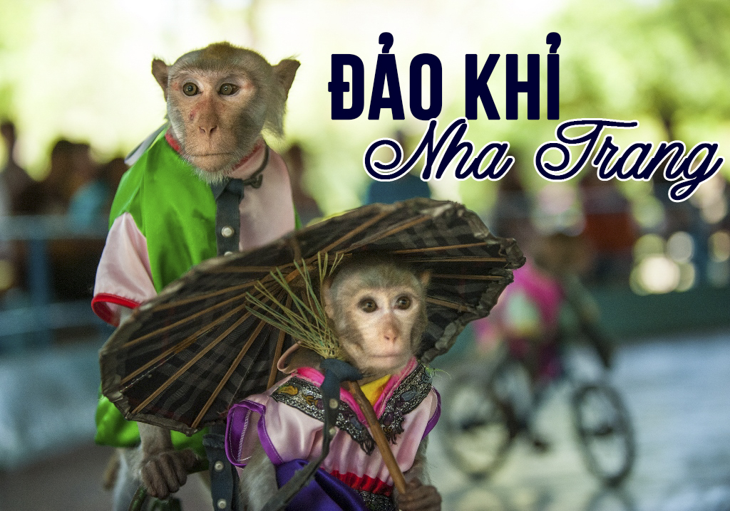 Đảo Khỉ Nha Trang
