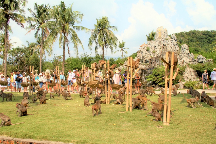 dao khi nha trang201