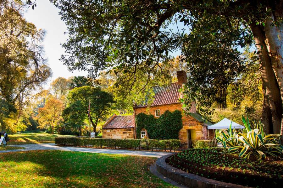 Mùa thu Sydney mang vẻ đẹp lay động 