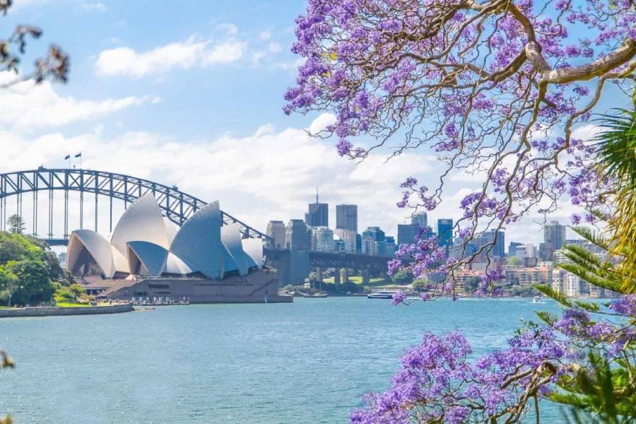 Sydney có 4 mùa rõ rệt, mỗi mùa mang một nét đẹp riêng
