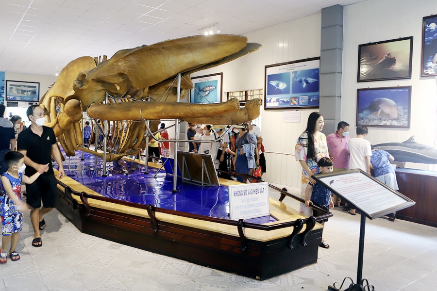 di-tich-lich-su-van-hoa-nha-trang-1 Viện Hải dương học Nha Trang với nhiều mẫu vật quý