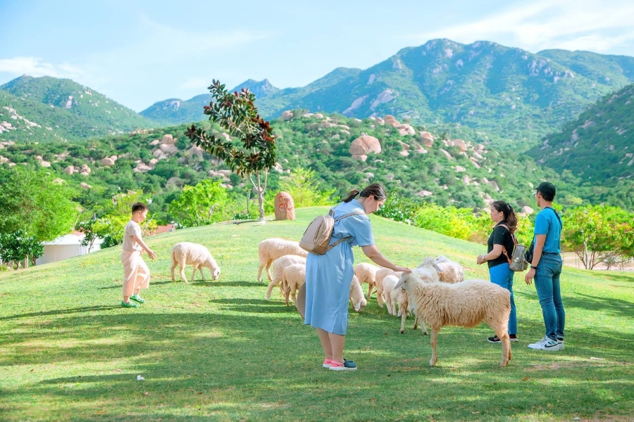 dia diem check in ninh thuan203