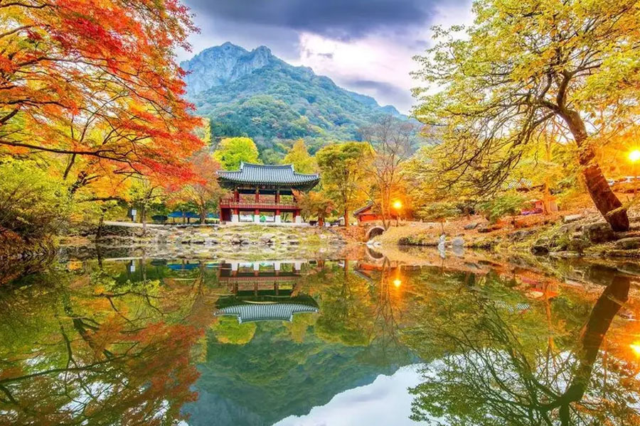 dia-diem-du-lich-deagu-han-quoc-12 Vườn Quốc gia Naejangsan với cảnh đẹp ấn tượng
