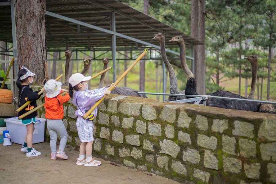 dia diem tham quan tai da lat phu hop voi gia dinh co tre em203