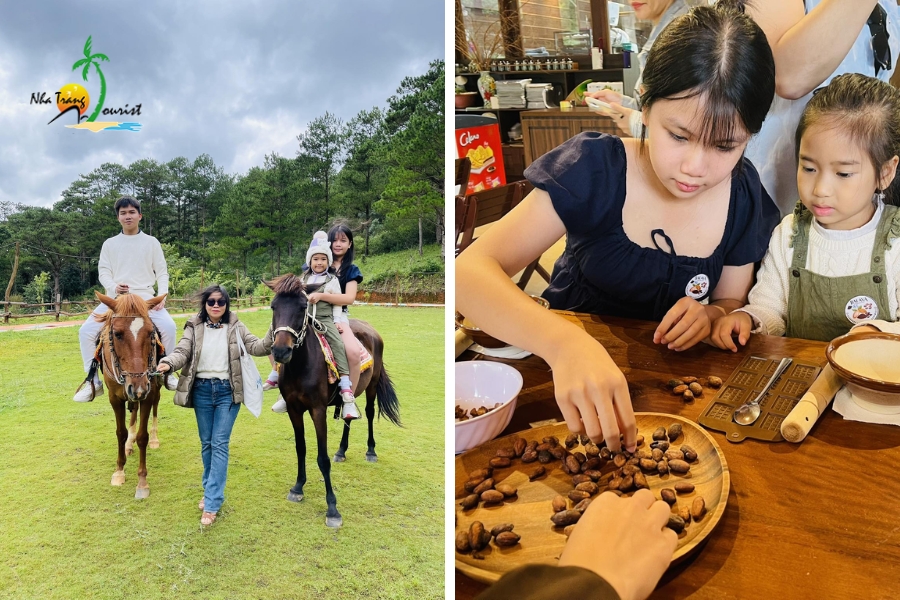 dia diem tham quan tai da lat phu hop voi gia dinh co tre em204