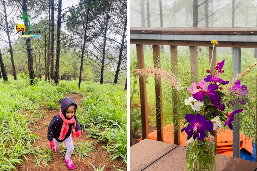 dia diem tham quan tai da lat phu hop voi gia dinh co tre em207