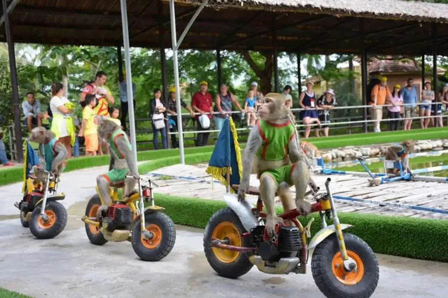 dia diem tour trai nghiem cho hoc sinh tai nha trang204