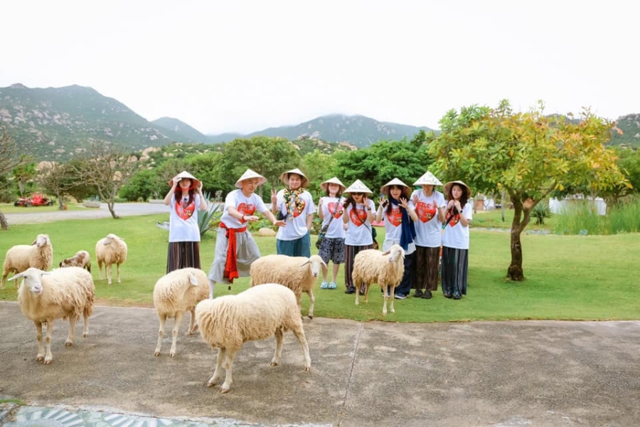 doan khach nuoc ngoai203