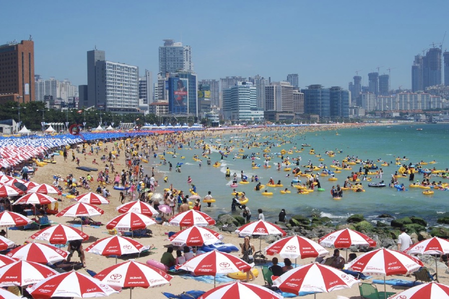 du-lich-busan-mua-nao-dep-nhat-2 du lich busan mua nao dep nhat 2