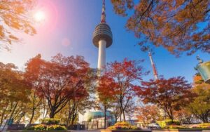 Du lịch Busan mùa thu - Khám phá vẻ đẹp lãng mạn của xứ sở kim chi