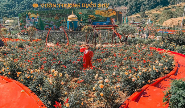 Vườn Thượng Uyển Bay mới lạ, nhiều khu tham quan hấp dẫn