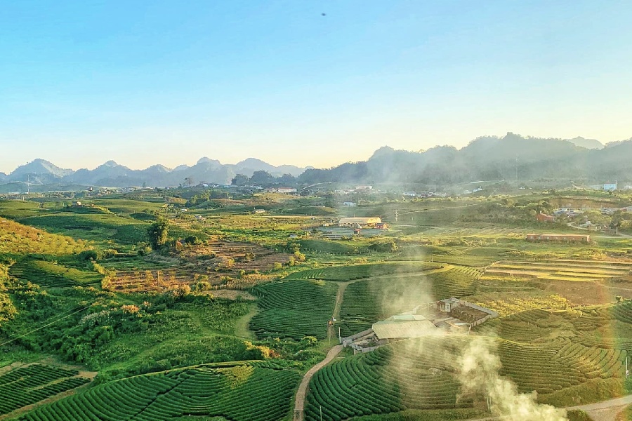 Thiên nhiên hiền hoà ở Mộc Châu vào mùa hè