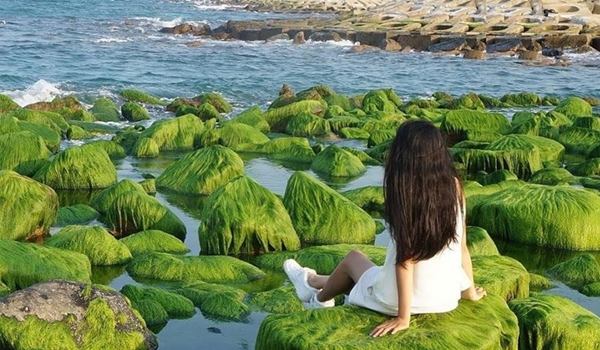 Bãi đá rêu đẹp ngỡ ngàng ở Nha Trang