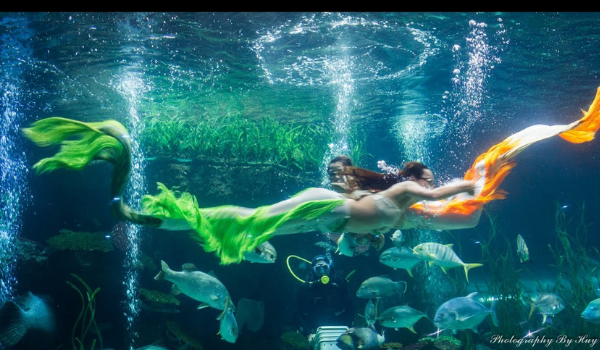 du-lich-nha-trang-3 Những “nàng tiên cá” ở Vinpearl Land Nha Trang