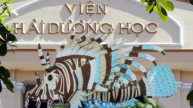 Viện Hải dương học Nha Trang trưng bày nhiều loài sinh vật biển