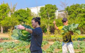 Du lịch trải nghiệm là gì? Các loại hình du lịch trải nghiệm hot nhất