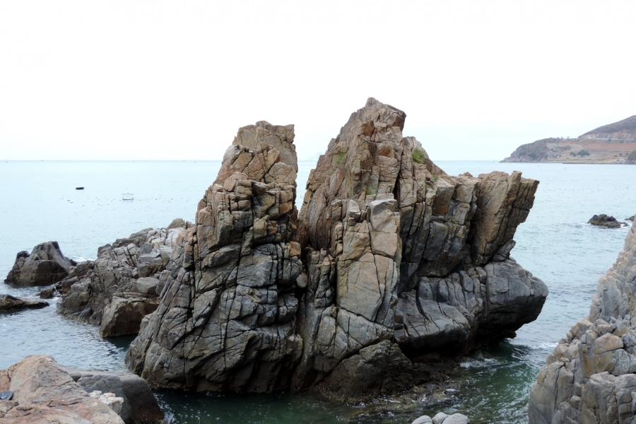 hang heo nha trang203
