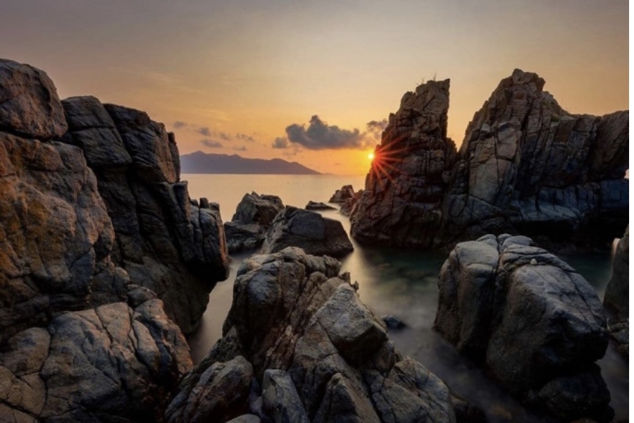 hang heo nha trang204