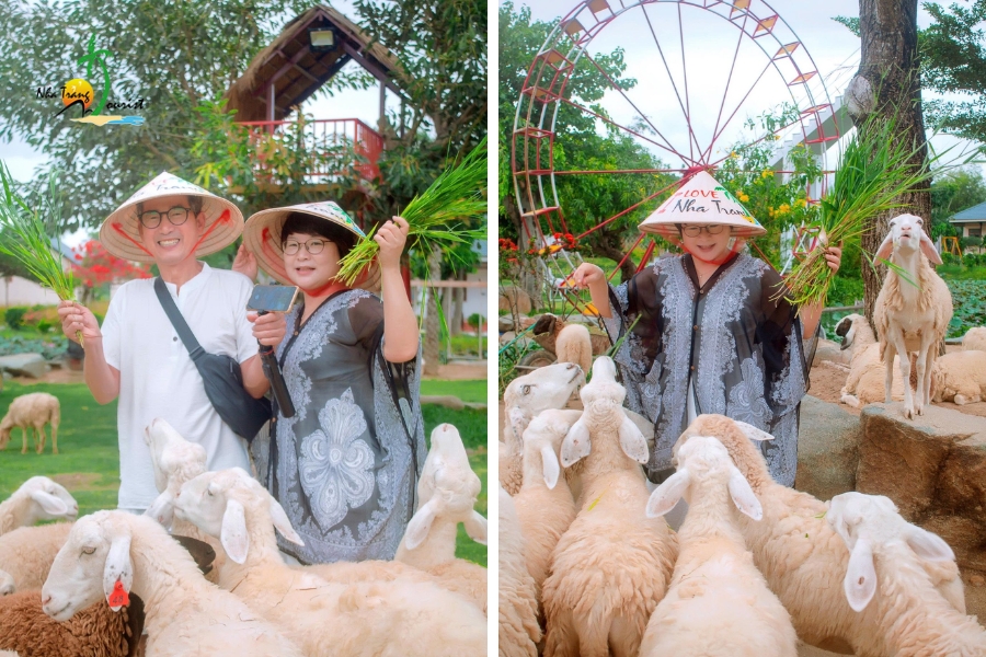 hanh trinh phan rang ninh thuan 2 du khach han quoc204