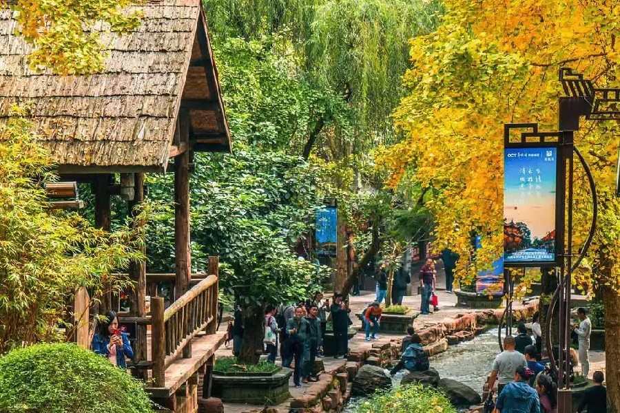 Mùa thu lá vàng tuyệt đẹp ở Hoàng Long Khê