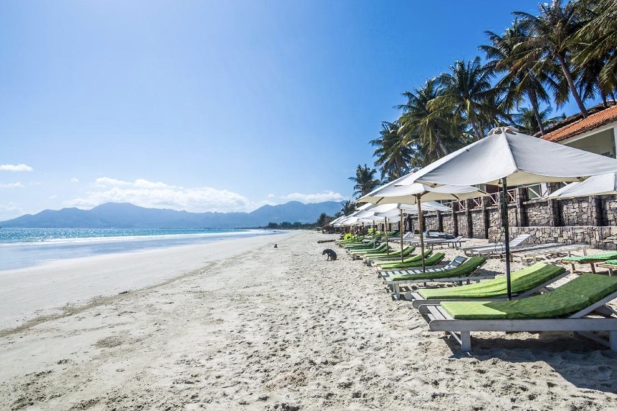 khach san cho phep vat nuoi tai nha trang 4