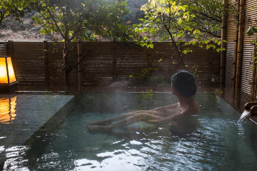 kham pha nhat ban mua hoa anh dao 9