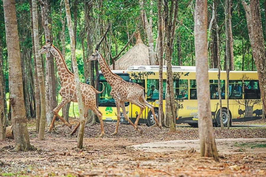 kinh-nghiem-di-vinpearl-nha-trang-2-ngay-1-dem208 kinh nghiem di vinpearl nha trang 2 ngay 1 dem208