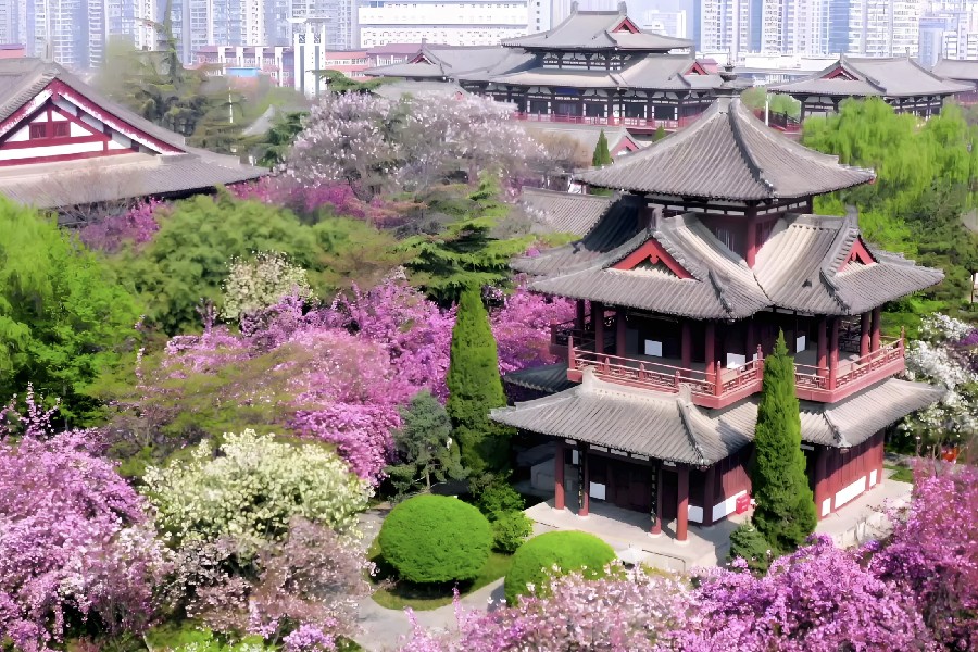 Tây An mùa xuân là mùa đẹp nhất để du lịch