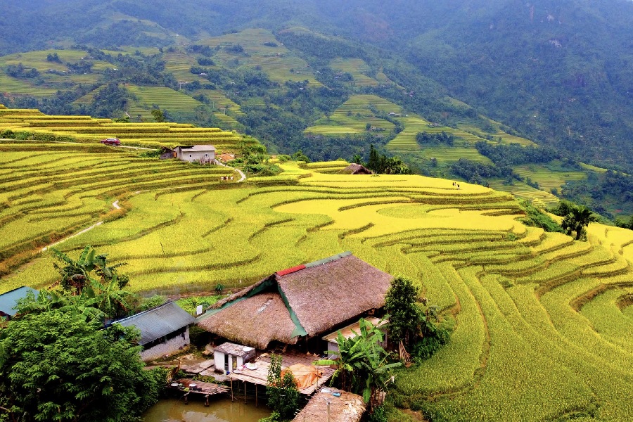 kinh nghiem du lich tay bac mua thu 12