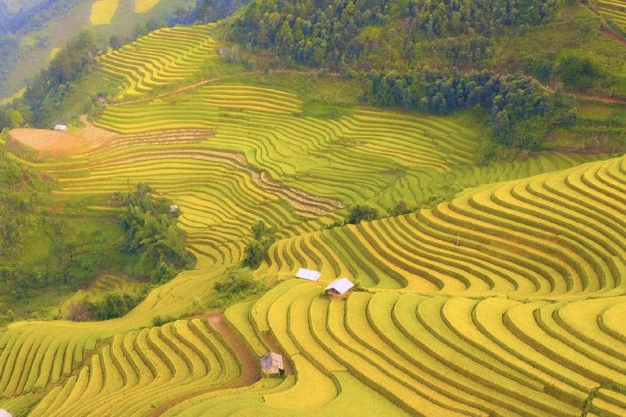 kinh nghiem du lich tay bac mua thu 2
